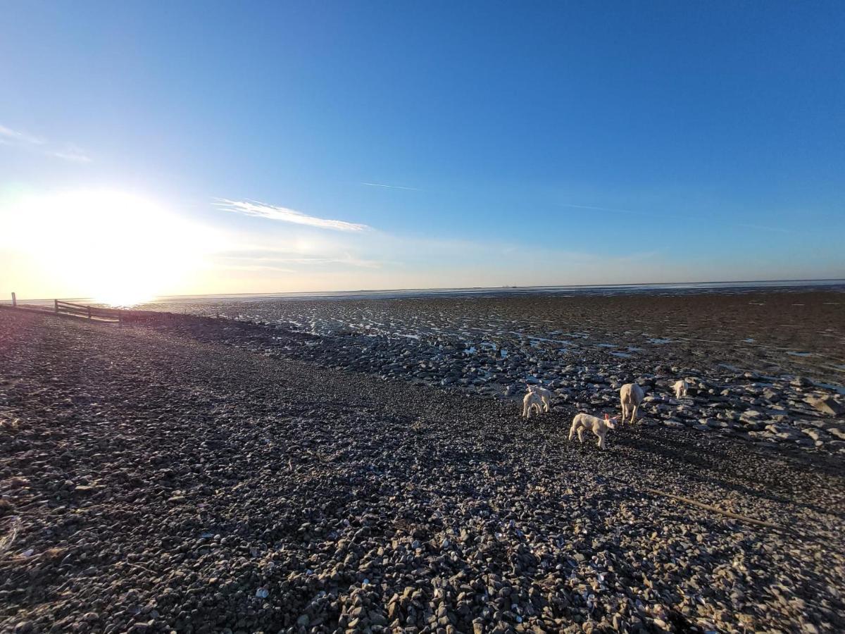 Vila Wierums Huske Aan De Waddenzee Unesco Werelderfgoed Exteriér fotografie